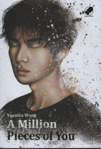 Image of A million pieces of you
